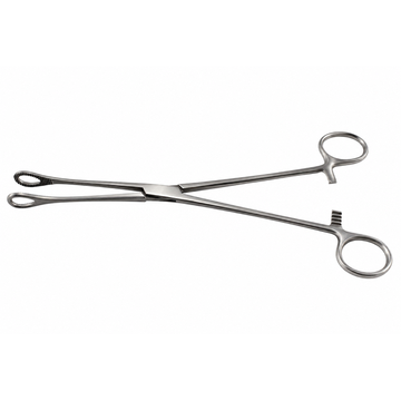 Foerster Sponge Holding Forceps Large