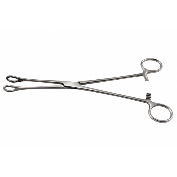 Foerster Sponge Holding Forceps Large